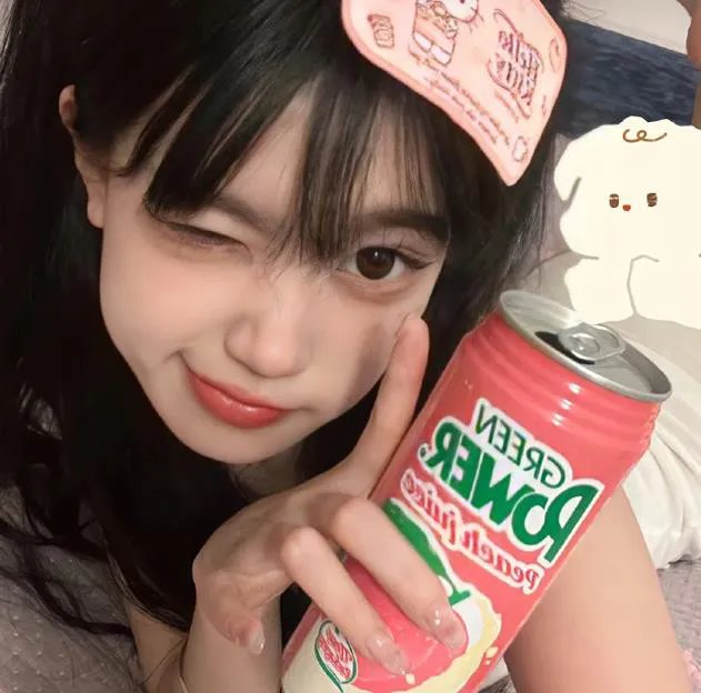 探索白蚁密室